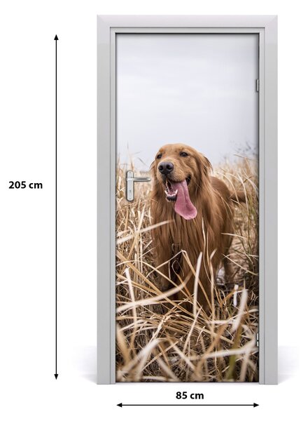 Autocolante pentru usi Labrador