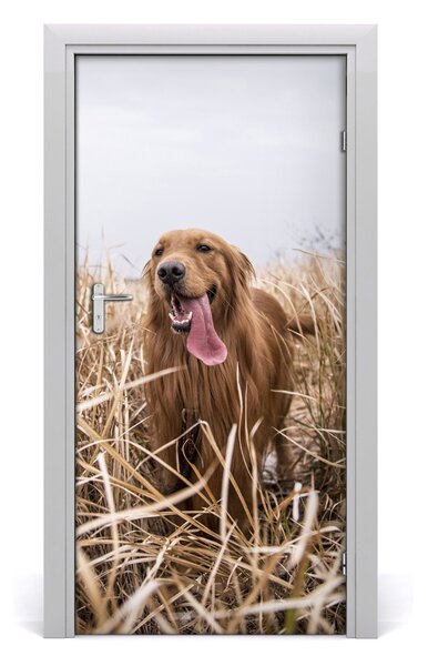 Autocolante pentru usi Labrador