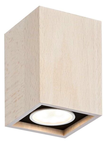 Spot Argon 3705 MONTREAL 1xGU10/5W/230V fag