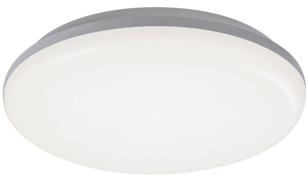 Rabalux 7979 - Plafonieră LED exterior ERIC LED/24W/230V IP64