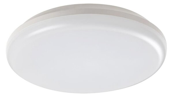 Rabalux 7979 - Plafonieră LED exterior ERIC LED/24W/230V IP64
