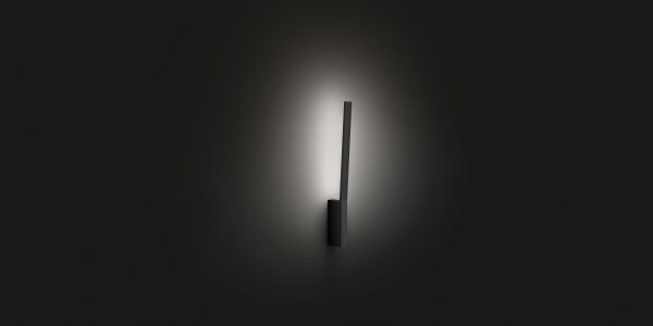 Philips 40902/30/P9 - LED RGBW Aplică de perete Hue LIANE LED/12W/230V