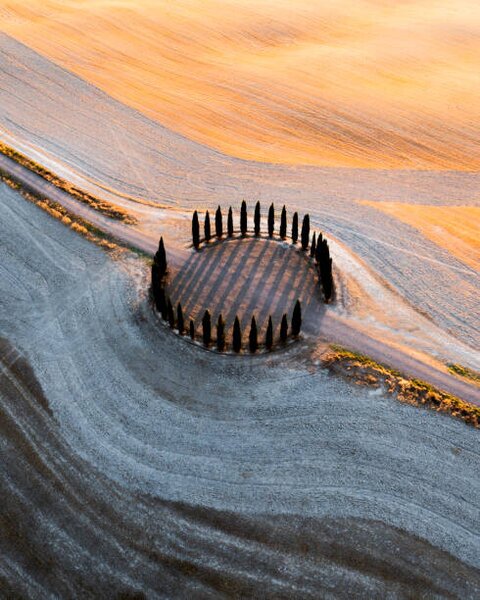 Fotografie Country road and cypresses grove, Tuscany, Italy, Marco Bottigelli