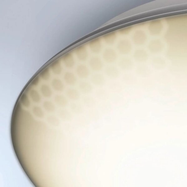 Steinel 035440 - LED Lampă exterior cu senzor QUATTRO LED/10W/230V IP54