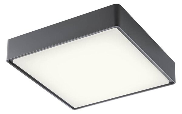 Redo 90158 - Plafonieră LED exterior MARINA 1xLED/16W/230V IP65
