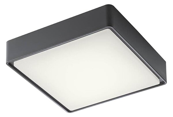 Redo 90157 - Plafonieră LED exterior MARINA 1xLED/12W/230V IP65