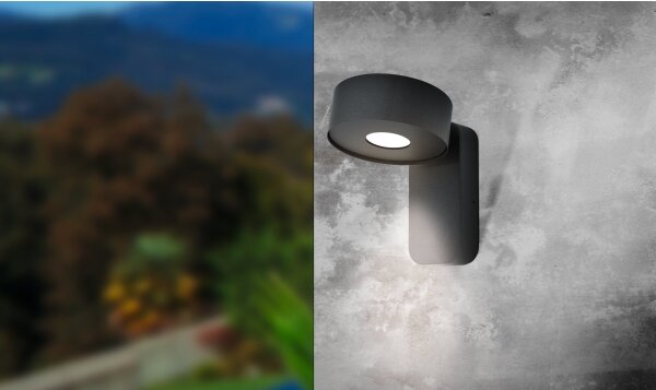 Eglo 98737 - Aplică perete exterior LED PALOSCO LED/6W/230V IP44