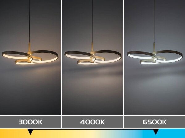 Rabalux 72400 - Lustră LED reglabilă pe cablu ISIDORA 50W/230V 3000-6500K+telecomandă
