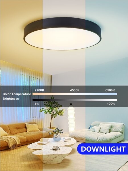 Plafonieră LED dimabilă Immax NEO 07202L RONDATE 53W/230V negru Tuya + telecomandă