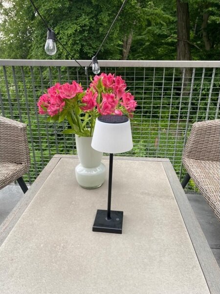 Lampă LED solară dimabilă de exterior Immax 08492L LED/4W/5V IP44