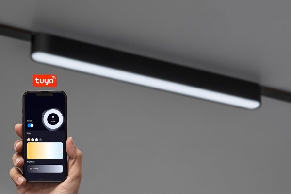 Plafonieră LED dimabilă pentru sistem de șină monofazic Rabalux 70124 LiTrack 16W/24V 33 cm