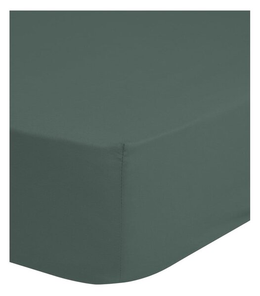 Cearceaf verde/gri din bumbac cu elastic 140x200 cm – Good Morning