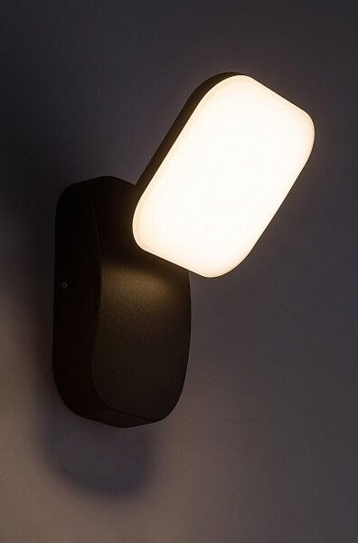 Aplică LED de exterior Rabalux 77057 ODIEL LED/12W/230V IP44 negru