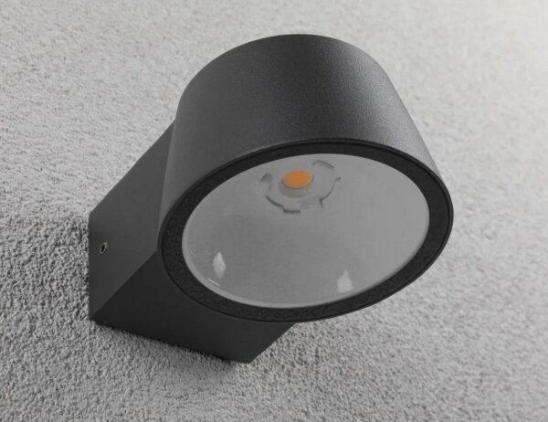 Aplică de exterior Paulmann 94713 LED/6W IP44 CAPERA 230V