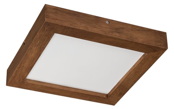 Plafonieră LED dimabilă Brilagi WOODY FRAME LED/24W/230V stejar 30x30 cm IP44 + telecomandă