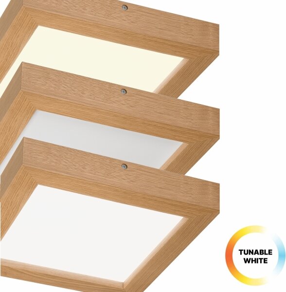 Plafonieră LED dimabilă Brilagi WOODY FRAME LED/24W/230V stejar 30x30 cm IP44 + telecomandă