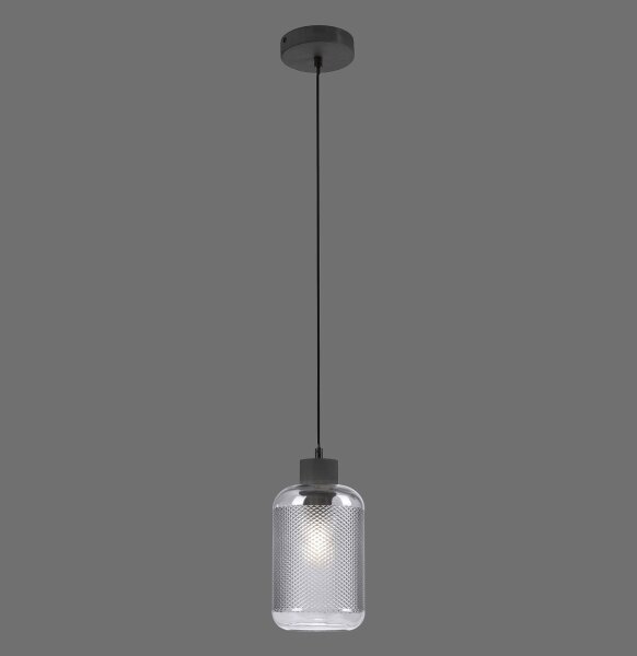 Lustră pe cablu Paul Neuhaus 2006-25 BOLETUS 1xE27/10W/230V d. 14 cm gri