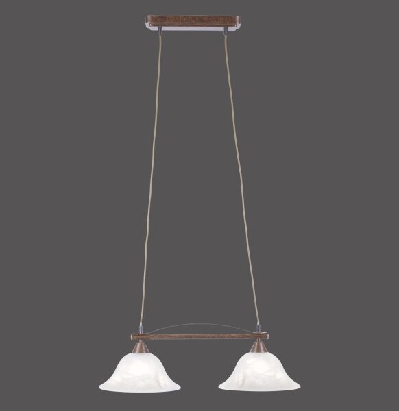 Lustră pe cablu NELLY 2xE14/40W/230V Paul Neuhaus 15242-48