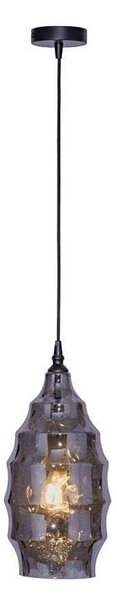 Lustră pe cablu Paul Neuhaus 8267-25 SCARLETT 1xE27/60W/230V d. 19 cm negru