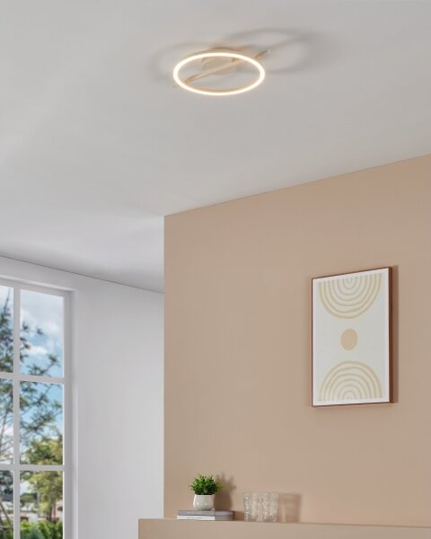Plafonieră LED dimabilă Eglo 901114 AMANDOLO LED/17W/230V alb + telecomandă