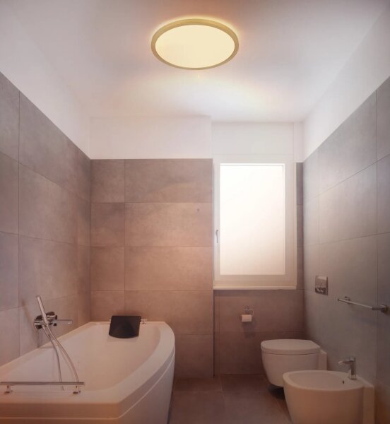 Plafonieră LED dimabilă pentru baie Globo 41562-18MM SAPANA LED/18W/230V IP44