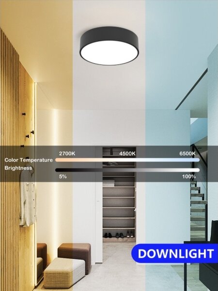 Plafonieră LED dimabilă Immax NEO 07200L RONDATE LED/18W/230V negru Tuya + telecomandă