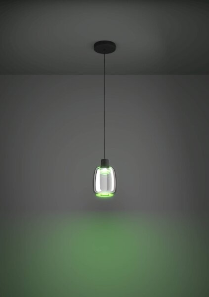 Lustră LED RGBW dimabilă pe cablu Eglo 901119 MOLOCHIO-Z LED/3,7W/230V negru