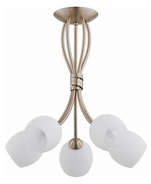 Lustră aplicată BUENA 5xE14/10W/230V auriu