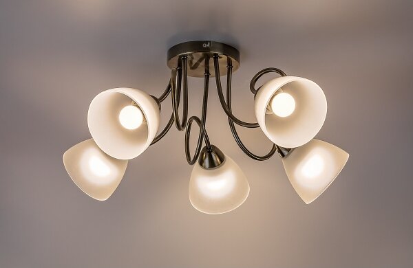 Rabalux 71482 - Lustră aplicată PALOMINA 5xE27/60W/230V
