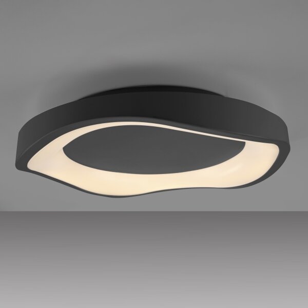 Schöner Wohnen 14233-18 - Lampă de tavan LED dimerizabilă MONTA LED/21W/230V neagră