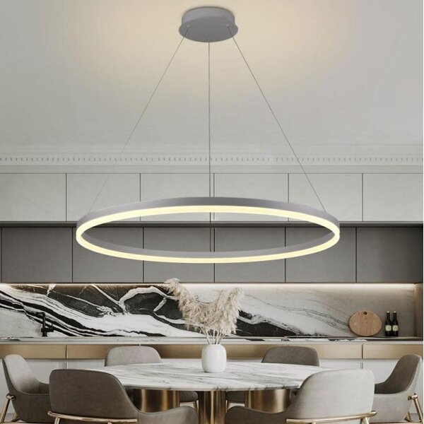 Brilagi - Lustră LED reglabilă pe cablu CIRCLE LED/55W/230V 3000-6500K argintiu + telecomandă