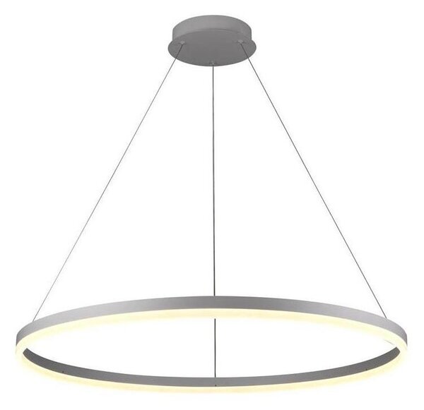 Brilagi - Lustră LED reglabilă pe cablu CIRCLE LED/55W/230V 3000-6500K argintiu + telecomandă