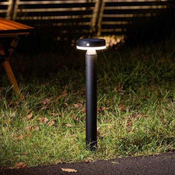 Lampă solară LED GWINEA LED/4,5W/3,7V 2000 mAh, 50 cm, IP44, negru