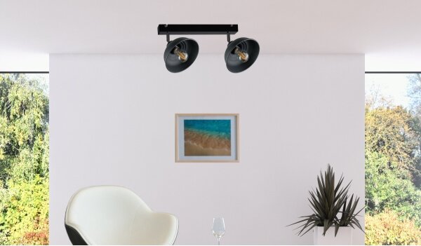 Spot FAUN 2xE27/60W/230V negru