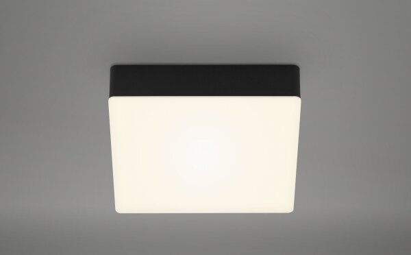 Plafonieră LED Briloner 7069-015 LED/11W/230V negru