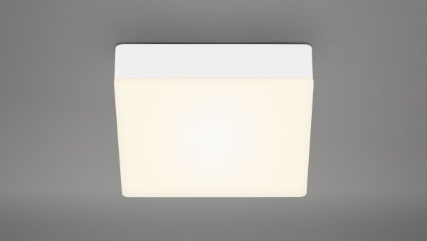 Plafonieră LED Briloner 7069-016 LED/11W/230V alb