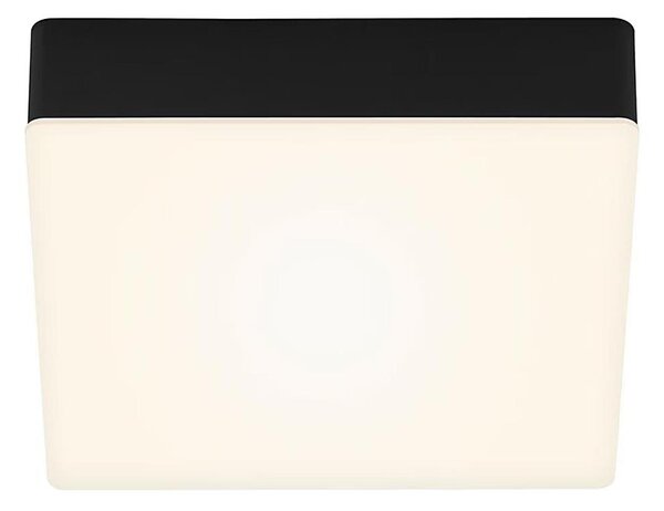 Plafonieră LED Briloner 7069-015 LED/11W/230V negru