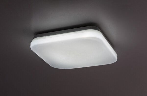 Rabalux 77134-LED Plafonieră pentru baie LOWAR, LED 12W, 230V, IP44, 3000/4000/6000K