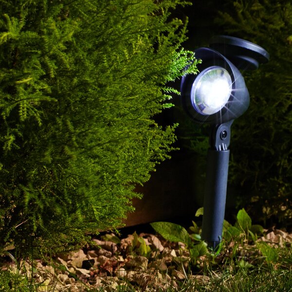 SMART GARDEN Spot LED solar cu țăruș Prima, set de 4, IP44, Negru, Plastic, Modern, Spot de exterior / vârf de pământ