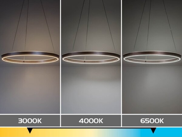 Rabalux 72402 - Lustra LED reglabilă suspendată pe cablu NEVIRA LED/36W/230V 3000-6500K+telecomandă