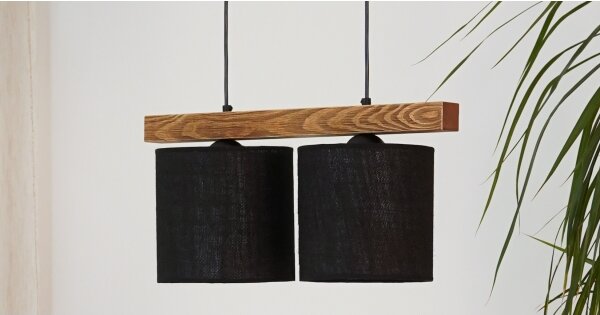 Lustră pe cablu Brilagi FOREST 2xE27/15W/230V pin/negru