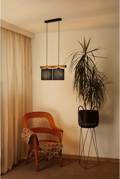 Lustră pe cablu Brilagi FOREST 2xE27/15W/230V pin/negru