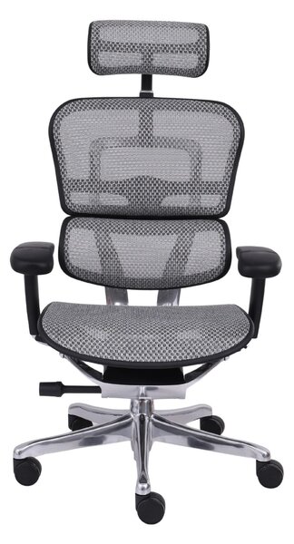 Scaun de birou Ergohuman 2 Elite BS Grey