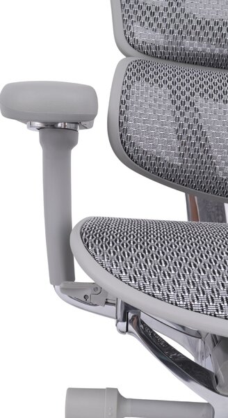 Scaun de birou Ergohuman 2 Elite GS Grey