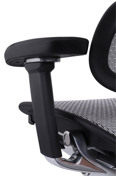 Scaun de birou Ergohuman 2 Elite BS Grey