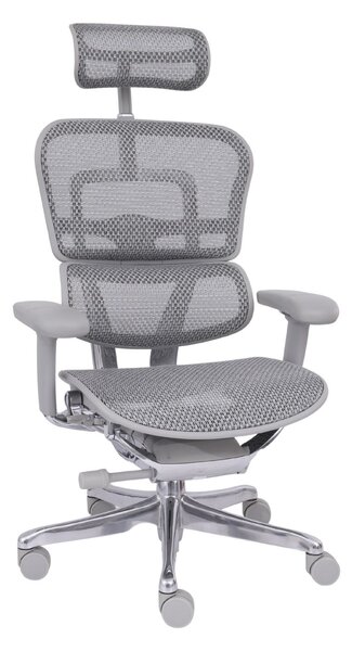Scaun de birou Ergohuman 2 Elite GS Grey