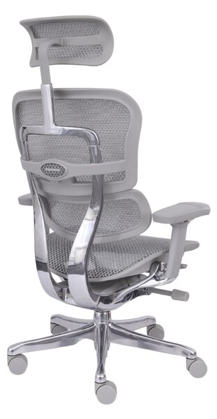 Scaun de birou Ergohuman 2 Elite GS Grey