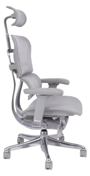Scaun de birou Ergohuman 2 Elite GS Grey