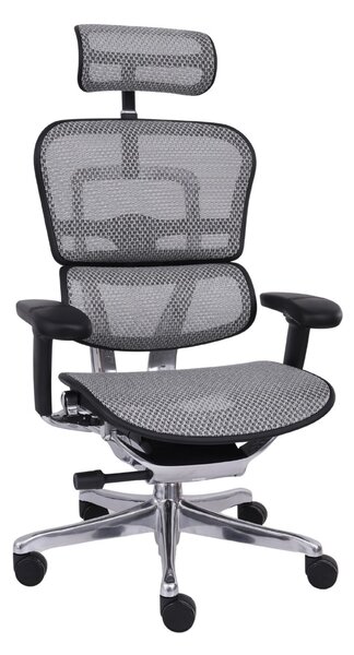 Scaun de birou Ergohuman 2 Elite BS Grey