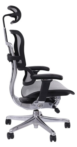 Scaun de birou Ergohuman 2 Elite BS Grey